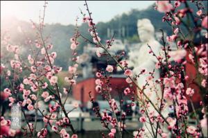 晉安林陽(yáng)寺 (5)_晉安林陽(yáng)寺