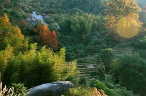 羅源禾山風(fēng)景區(qū) (2)_羅源禾山風(fēng)景區(qū)
