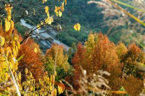 羅源禾山風(fēng)景區(qū) (4)_羅源禾山風(fēng)景區(qū)