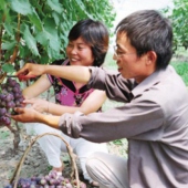 磊鑫緣休閑農(nóng)莊